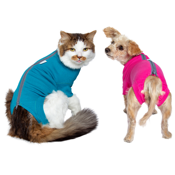 pet recovery suit cat dog