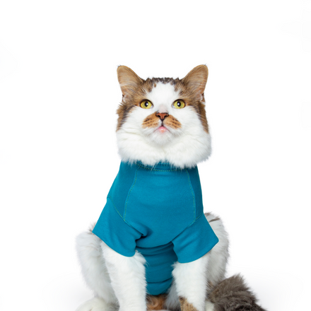 cat recovery suit