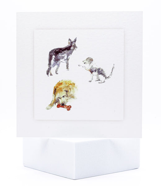 Animal Hospital Sympathy Card - Three Dogs