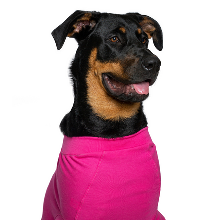 recovery suit dog pink
