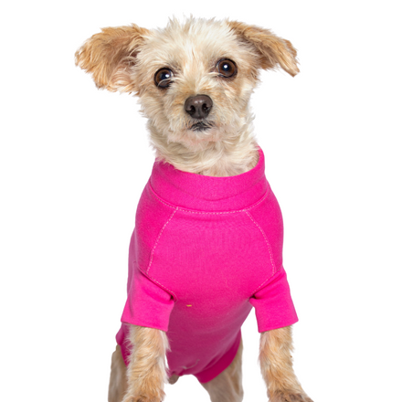 pink recovery gown yorkie