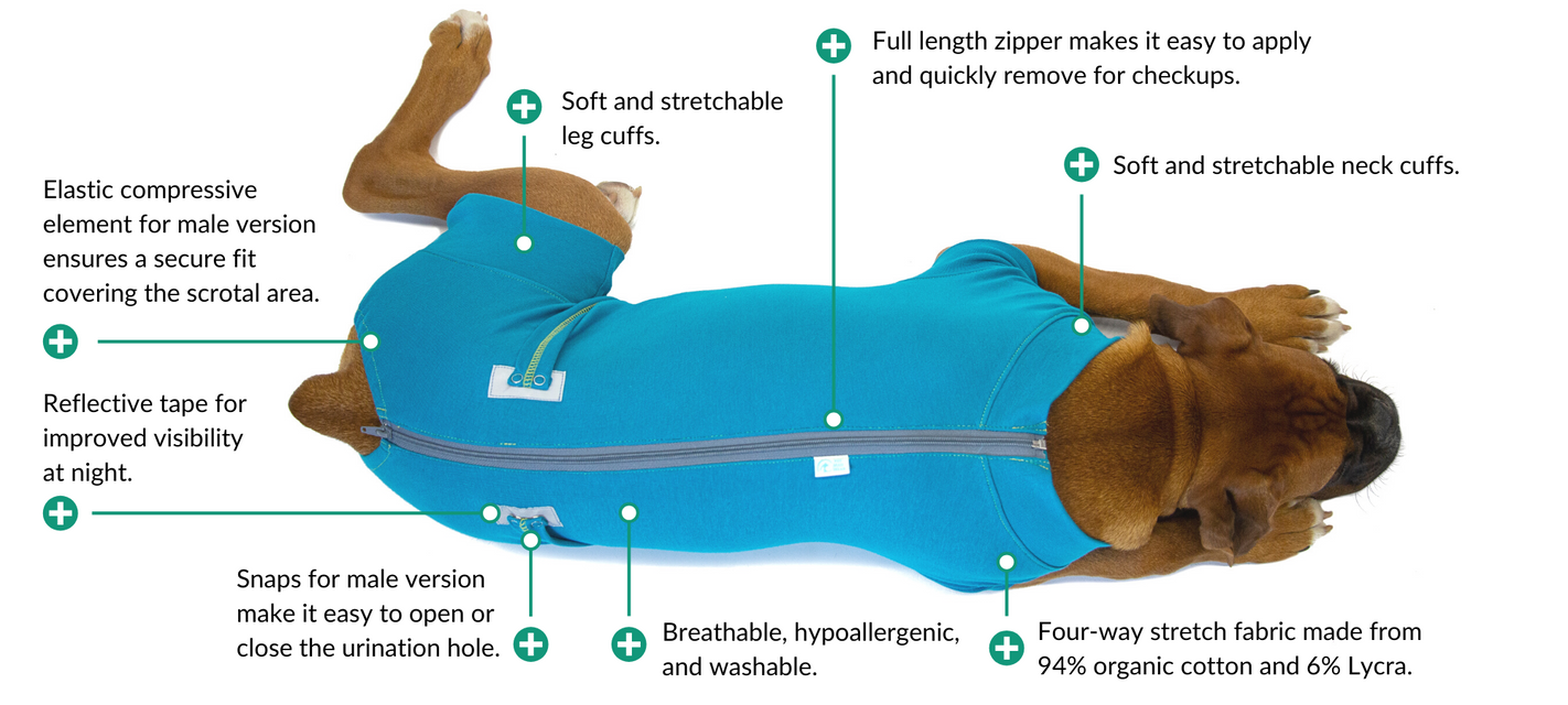 recovery suit blue dog diagram