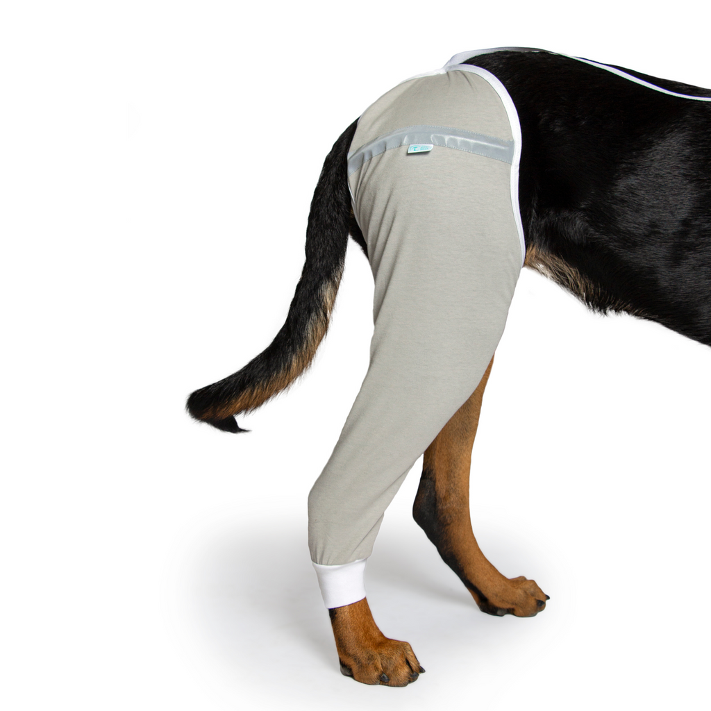 E Collar Alternative for Hip and Thigh Wounds