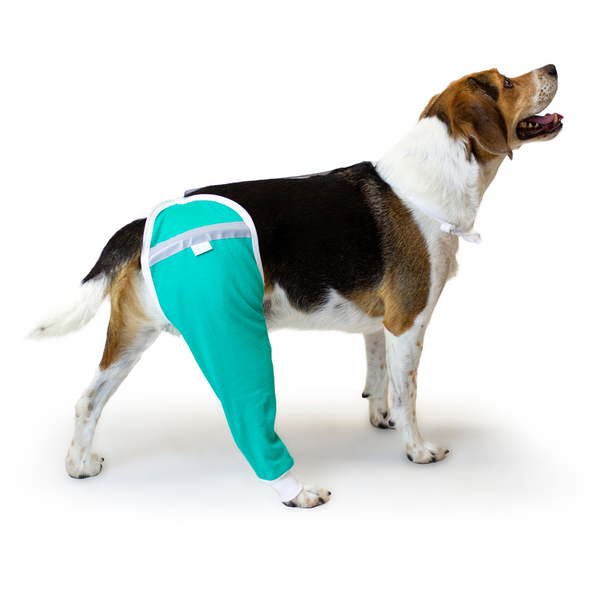 dog hip sleeve protective