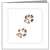 Animal Hospital Sympathy Card - Cat Paws