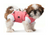 ecollar alternative recovery gown pets dog pink