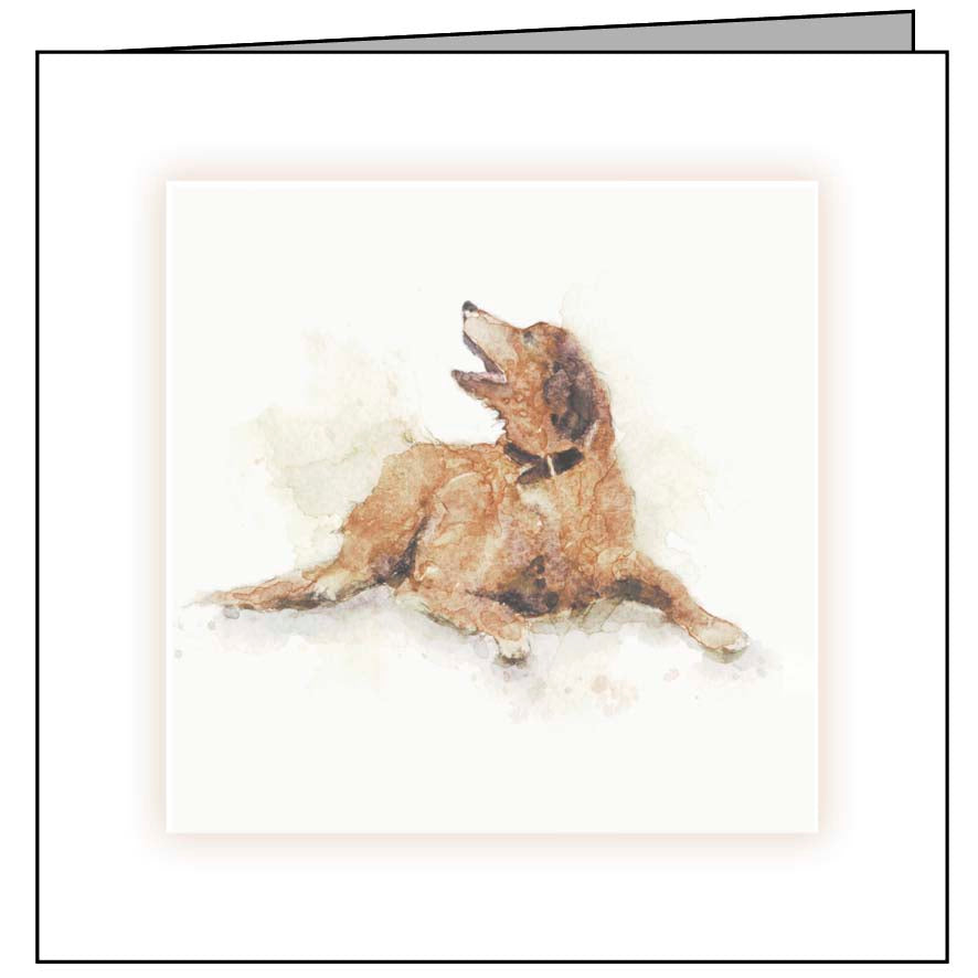 Animal Hospital Sympathy Card - Brown Dog