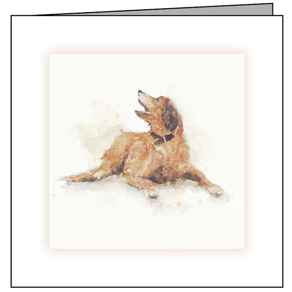 Animal Hospital Sympathy Card - Brown Dog