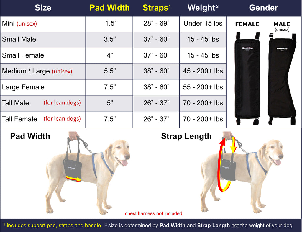 Ginger discount lead harness