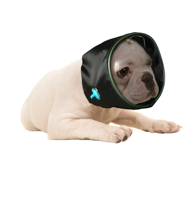 oxygen hood black animals dog