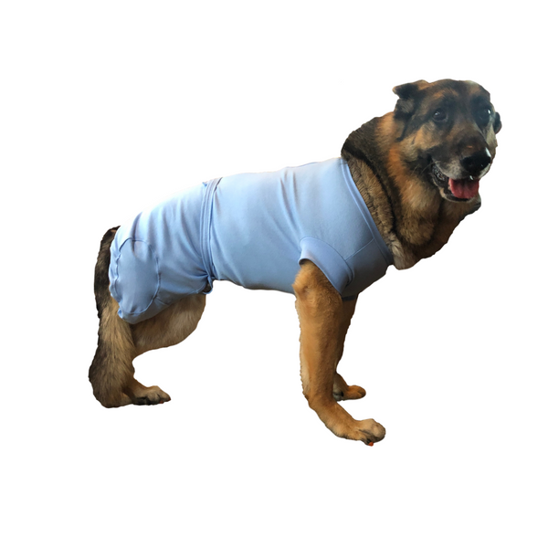 amputee dog ecollar alternative suit