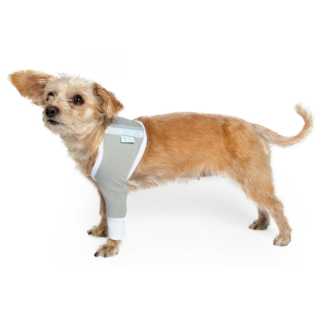 Comfort zone calming dog vest best sale