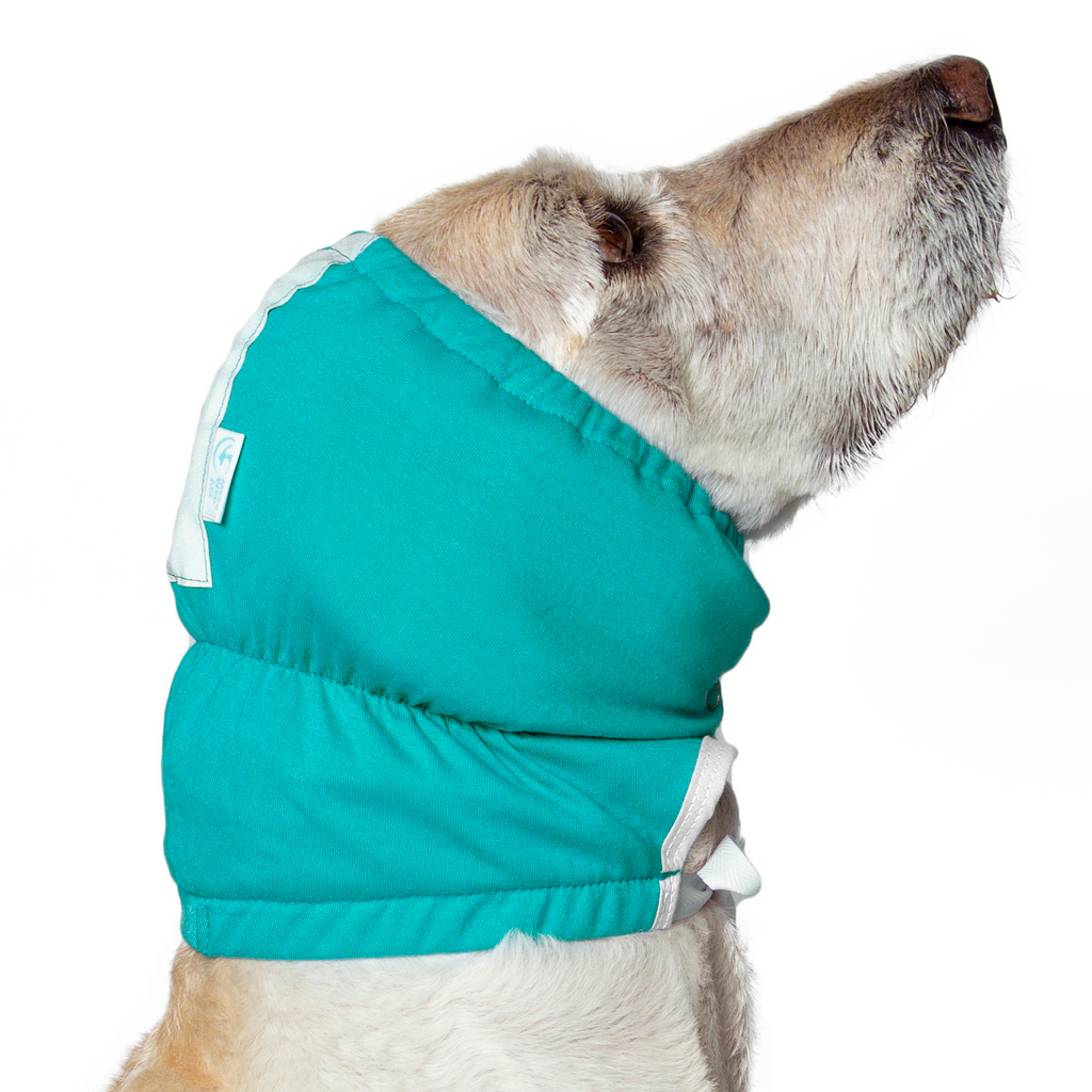 Dog bandages top for ears