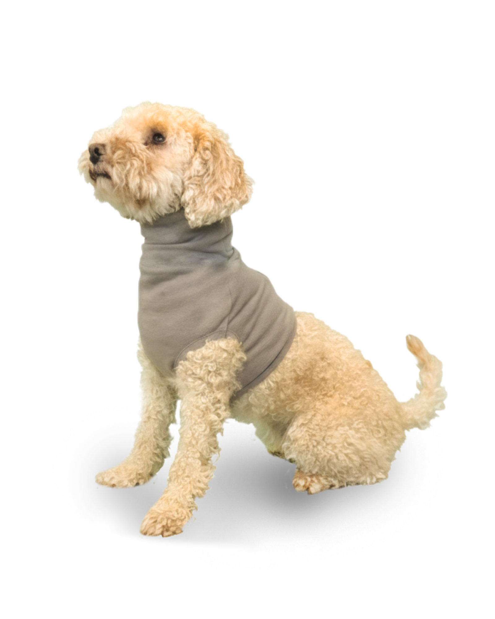 Neck and Upper Body Vest