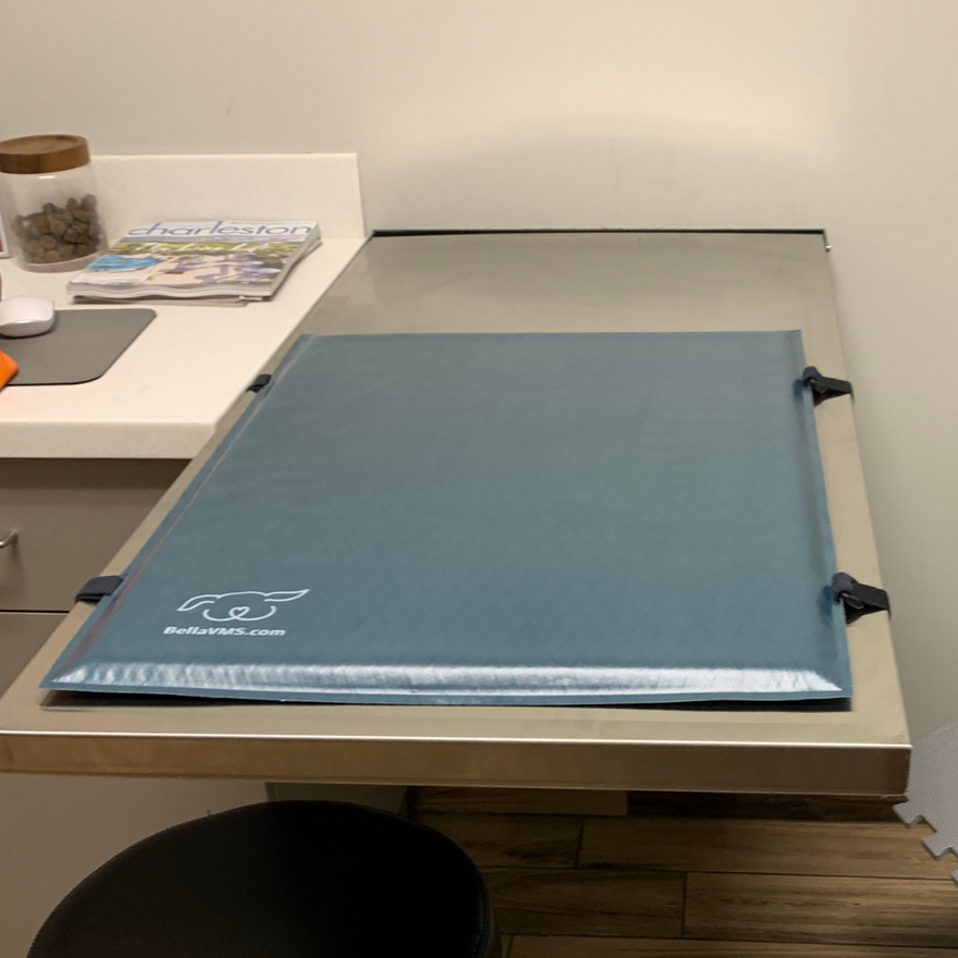 Waterproof Veterinary Mat