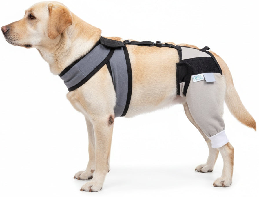 Hip and Thigh Combo with Vest