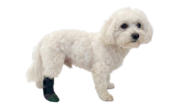 Protective Boot - Non Slip