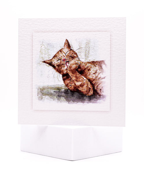 Animal Hospital Sympathy Card - Ginger Cat