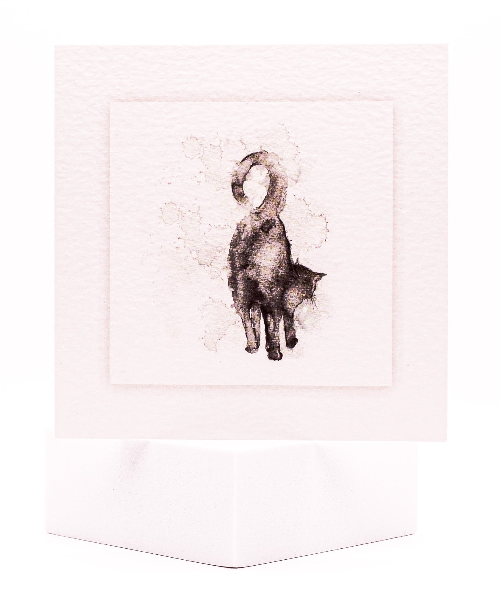 Animal Hospital Sympathy Card - Feline Image - Pack of 25 with Verse