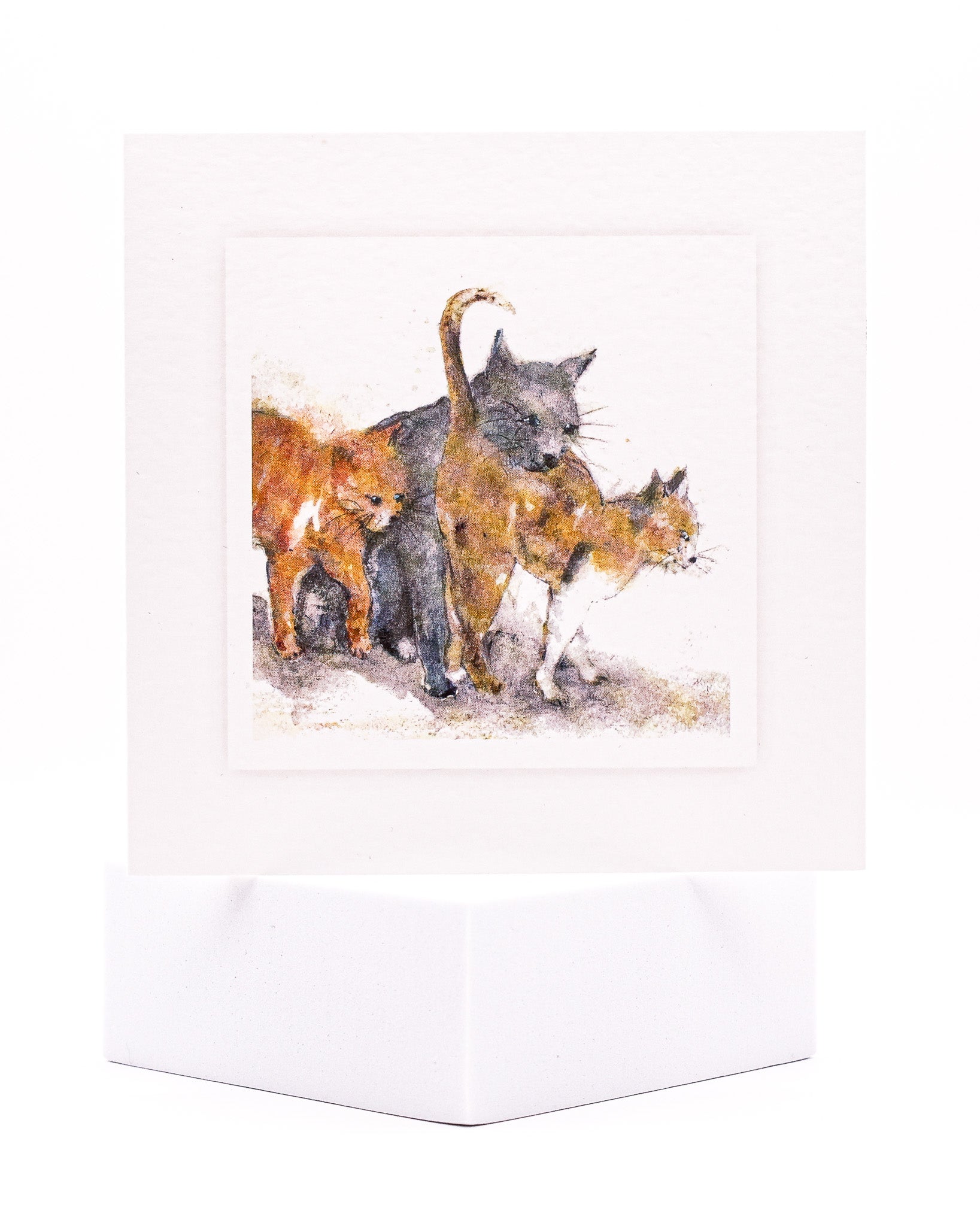 Animal Hospital Sympathy Card - Three Cats - Pack of 25 with Verse