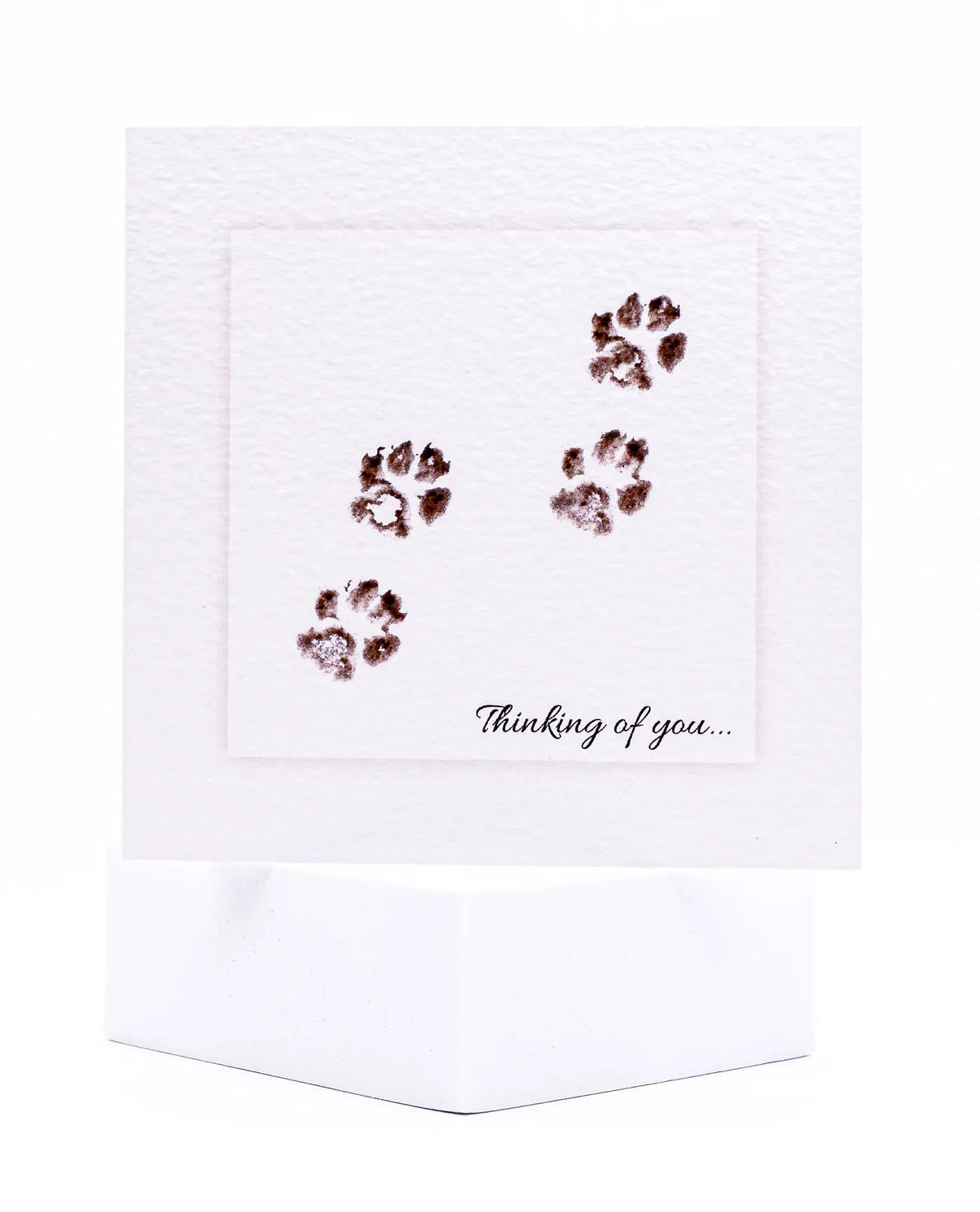 Animal Hospital Sympathy Card - Four Paws Thinking of You