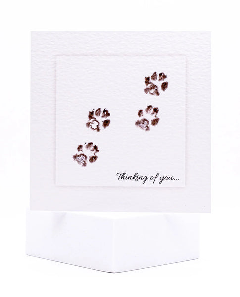 Animal Hospital Sympathy Card - Four Paws Thinking of You
