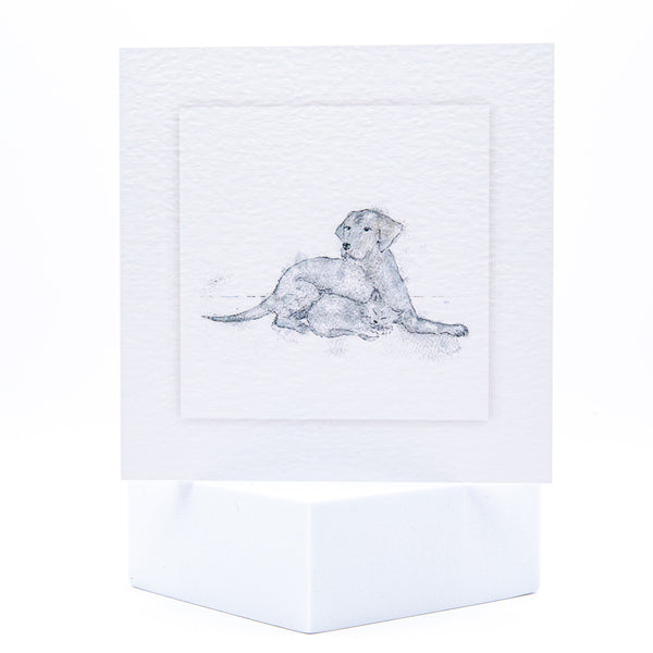 Animal Hospital Sympathy Card - Cat and Dog Sketch