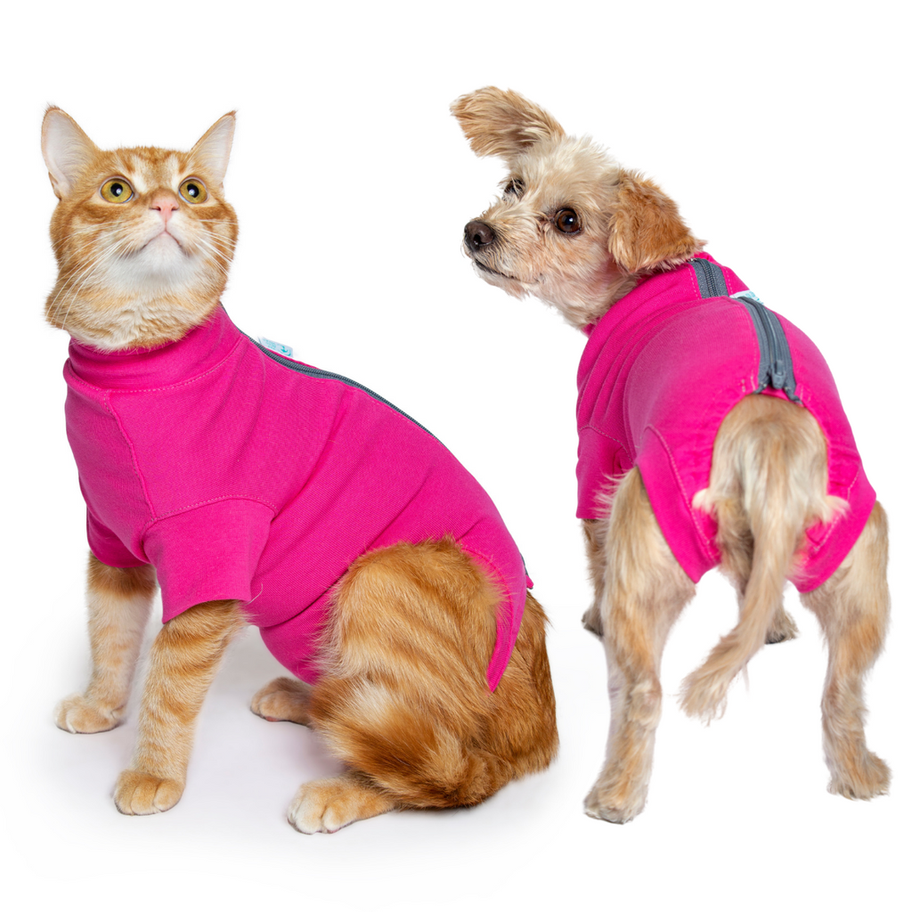 Pet Owners