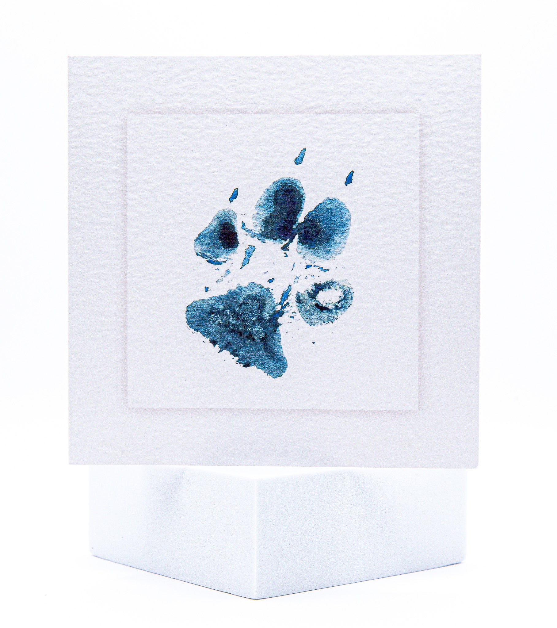 Animal Hospital Sympathy Card - Dog Paw