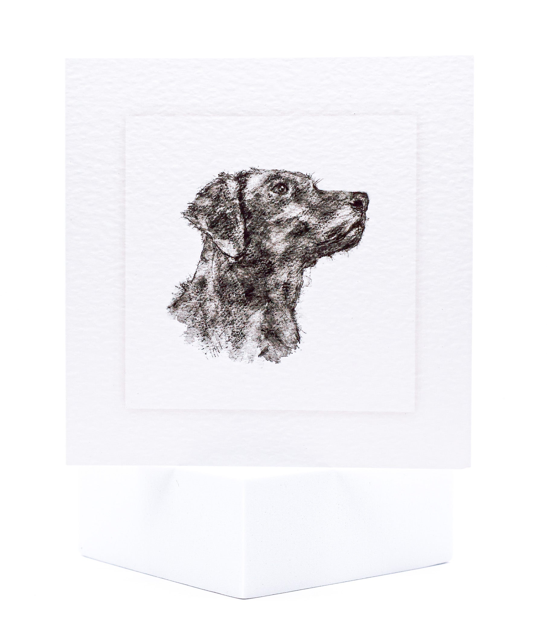 Animal Hospital Sympathy Card - Labrador