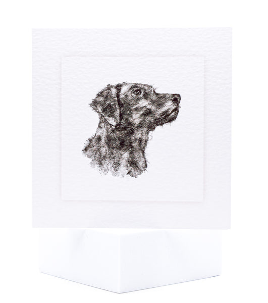 Animal Hospital Sympathy Card - Labrador