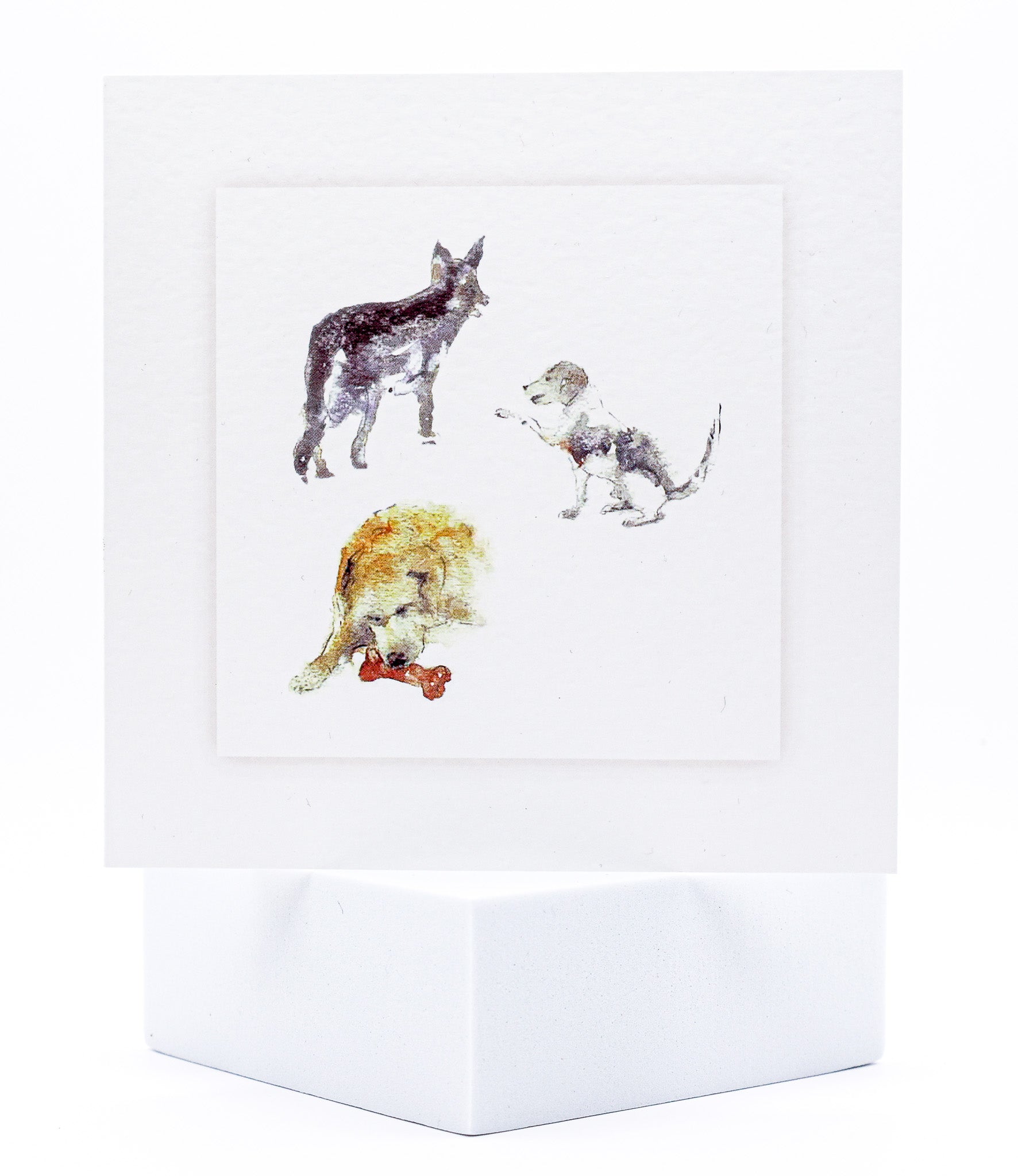 Animal Hospital Sympathy Card - Three Dogs - Pack of 25 with Verse