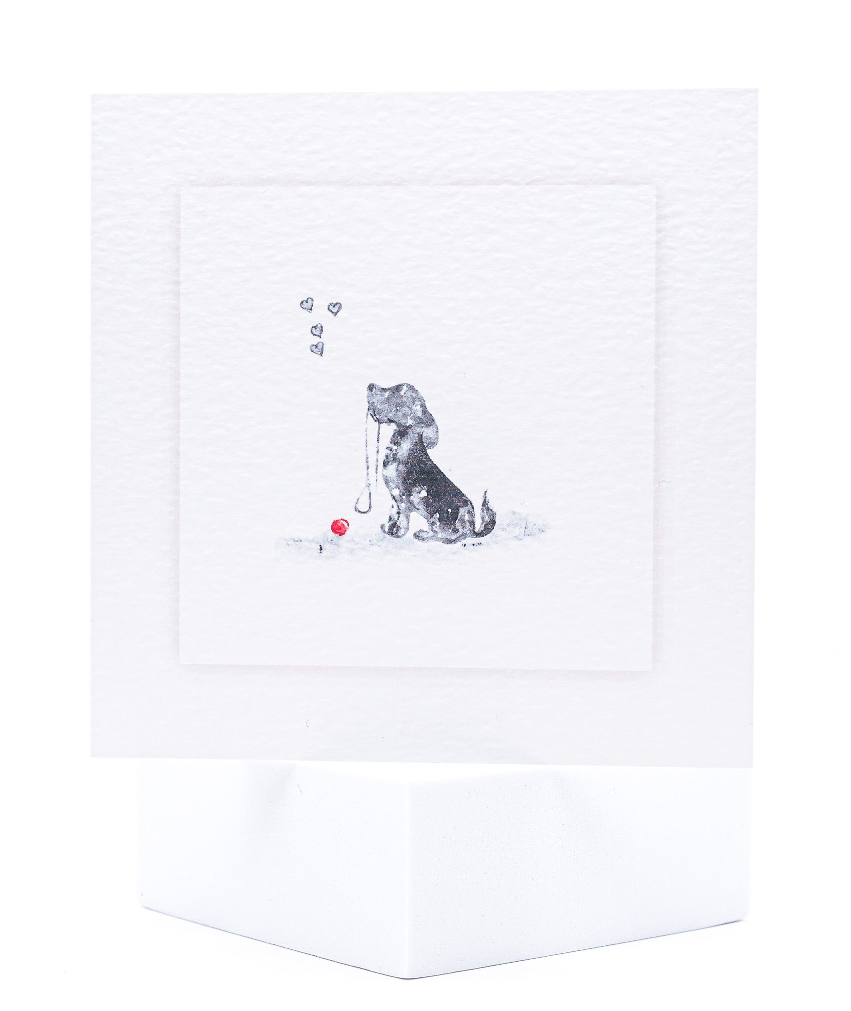 Animal Hospital Sympathy Card - Small Dog with Red Ball
