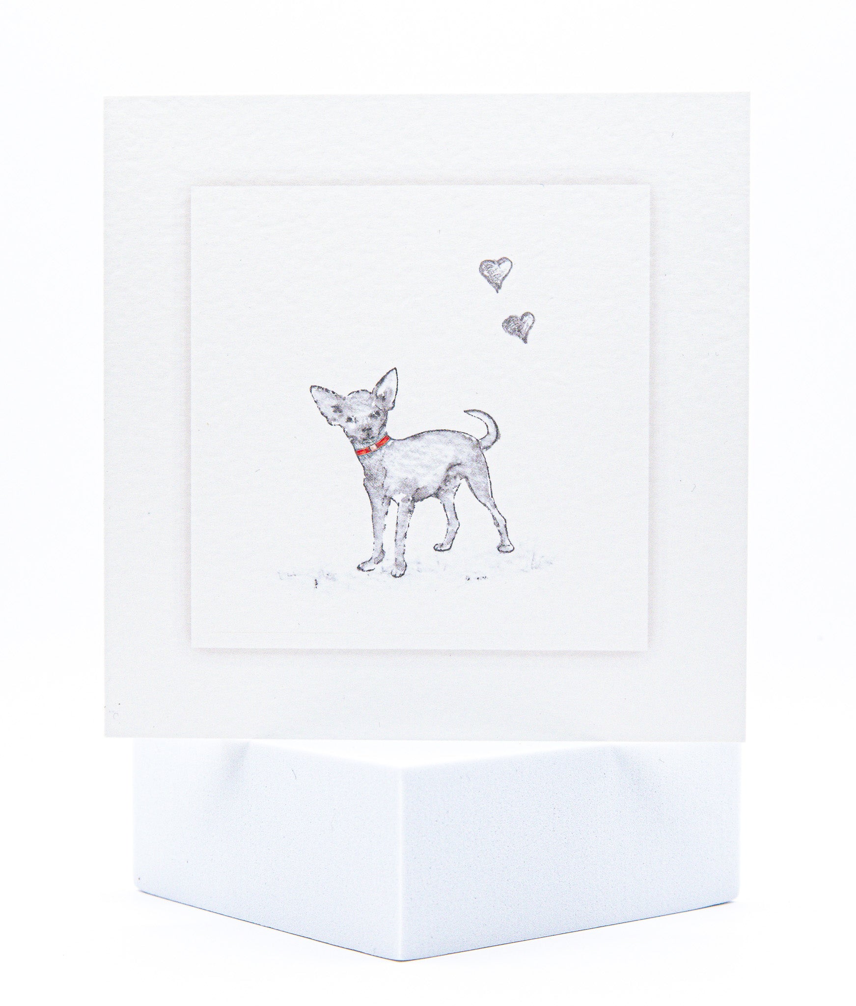 Animal Hospital Sympathy Card - Small Dog with Red Collar - Pack of 25 Verse