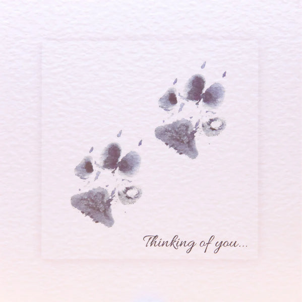 Animal Hospital Sympathy Card - Two Paws Thinking of You