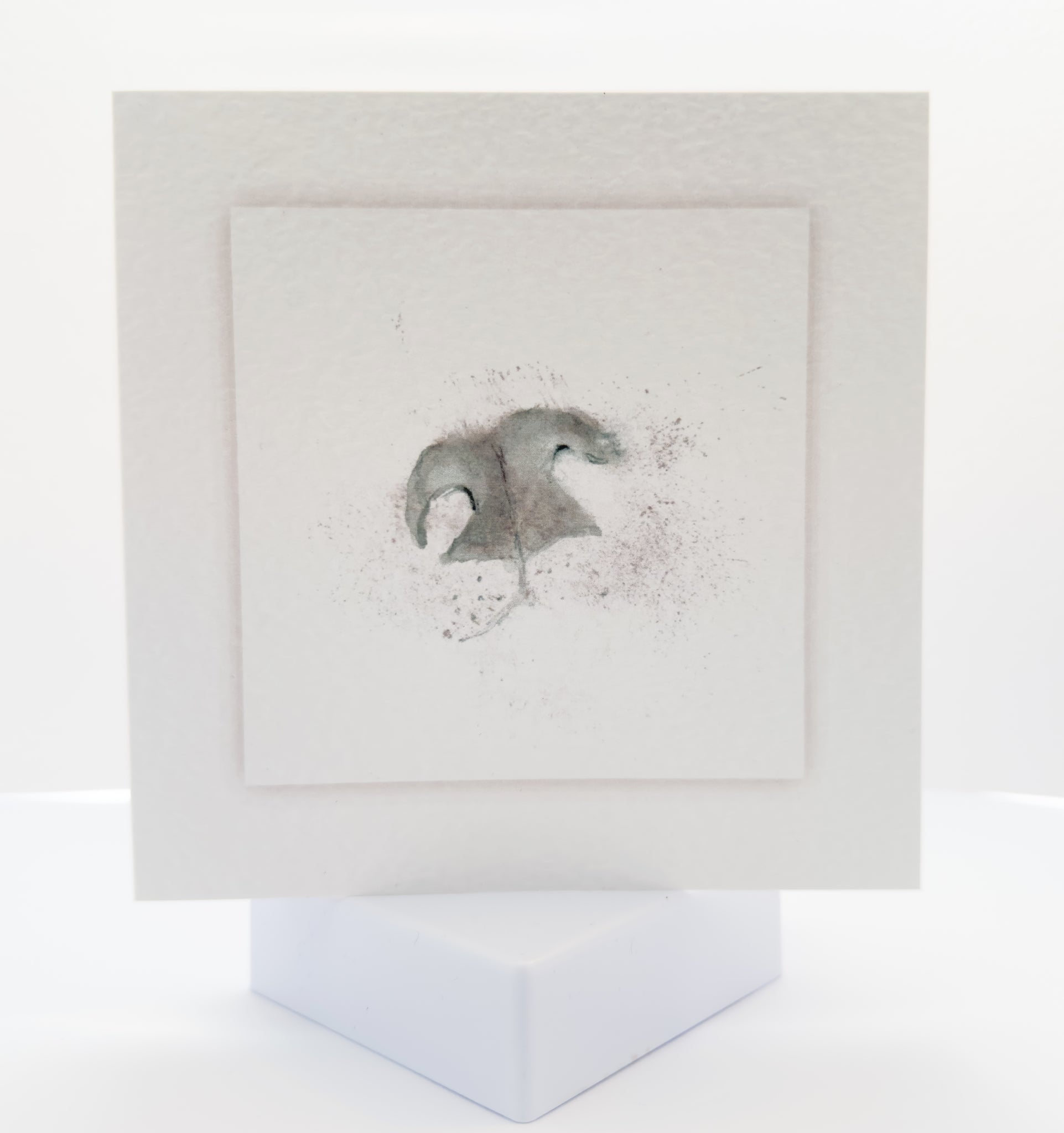 Animal Hospital Sympathy Card - Dog's Nose