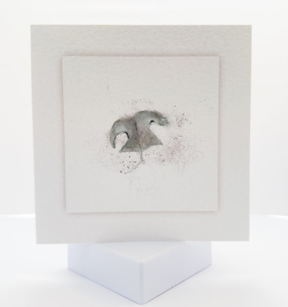 Animal Hospital Sympathy Card - Dog's Nose