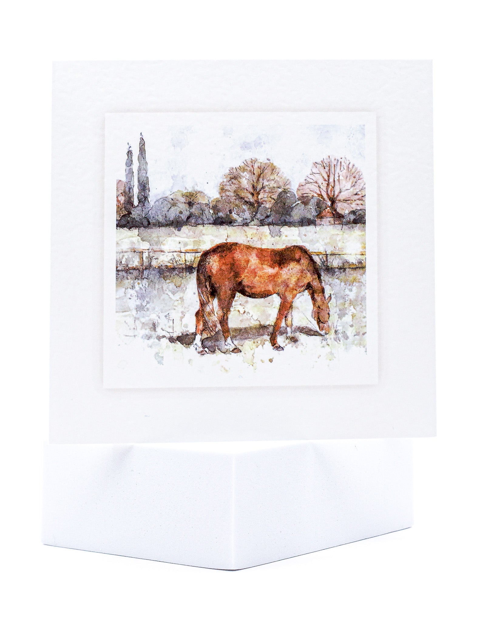 Large Animal Hospital Sympathy Card - Grazing Horse