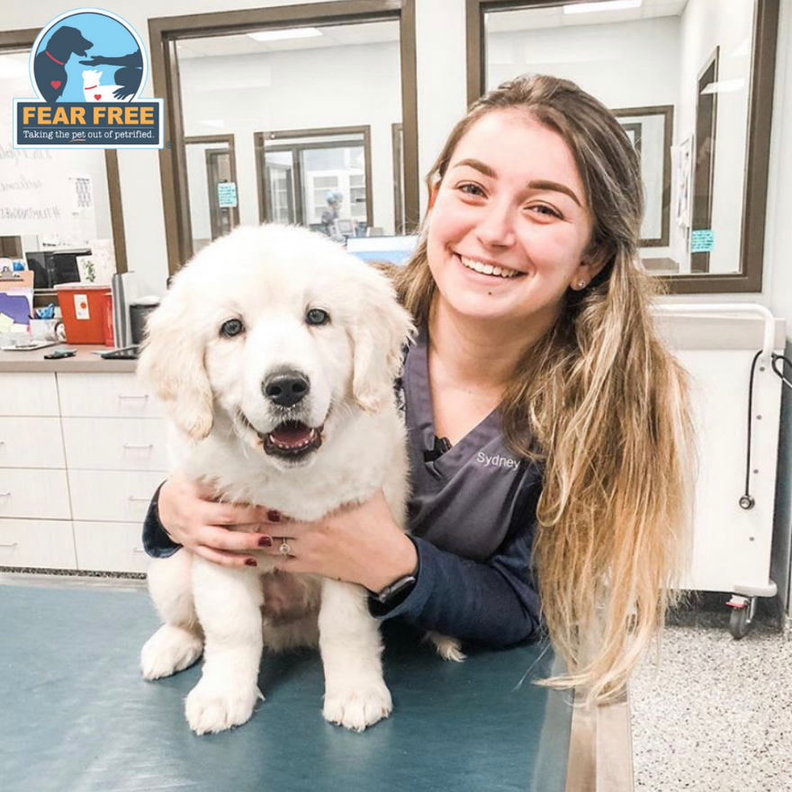 Waterproof Veterinary Mat