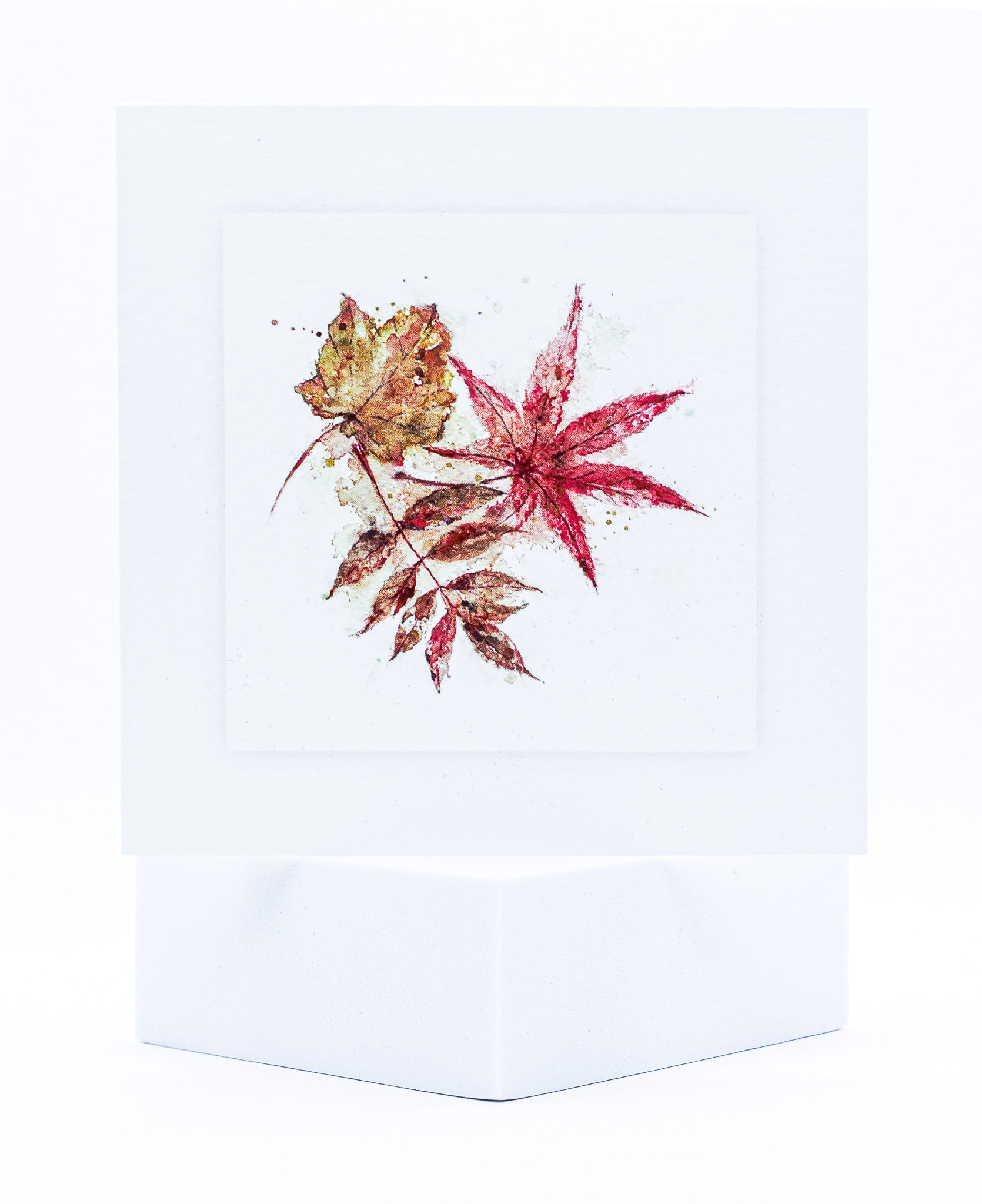 Animal Hospital Sympathy Card - Autumn Leaves pack of 25
