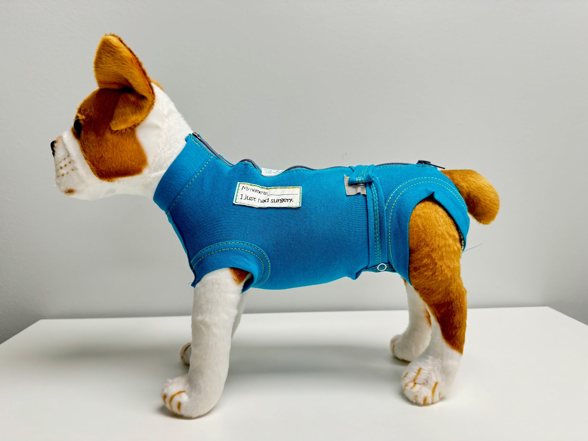 VetMedWear Recovery Suit (Male) Dog Sample