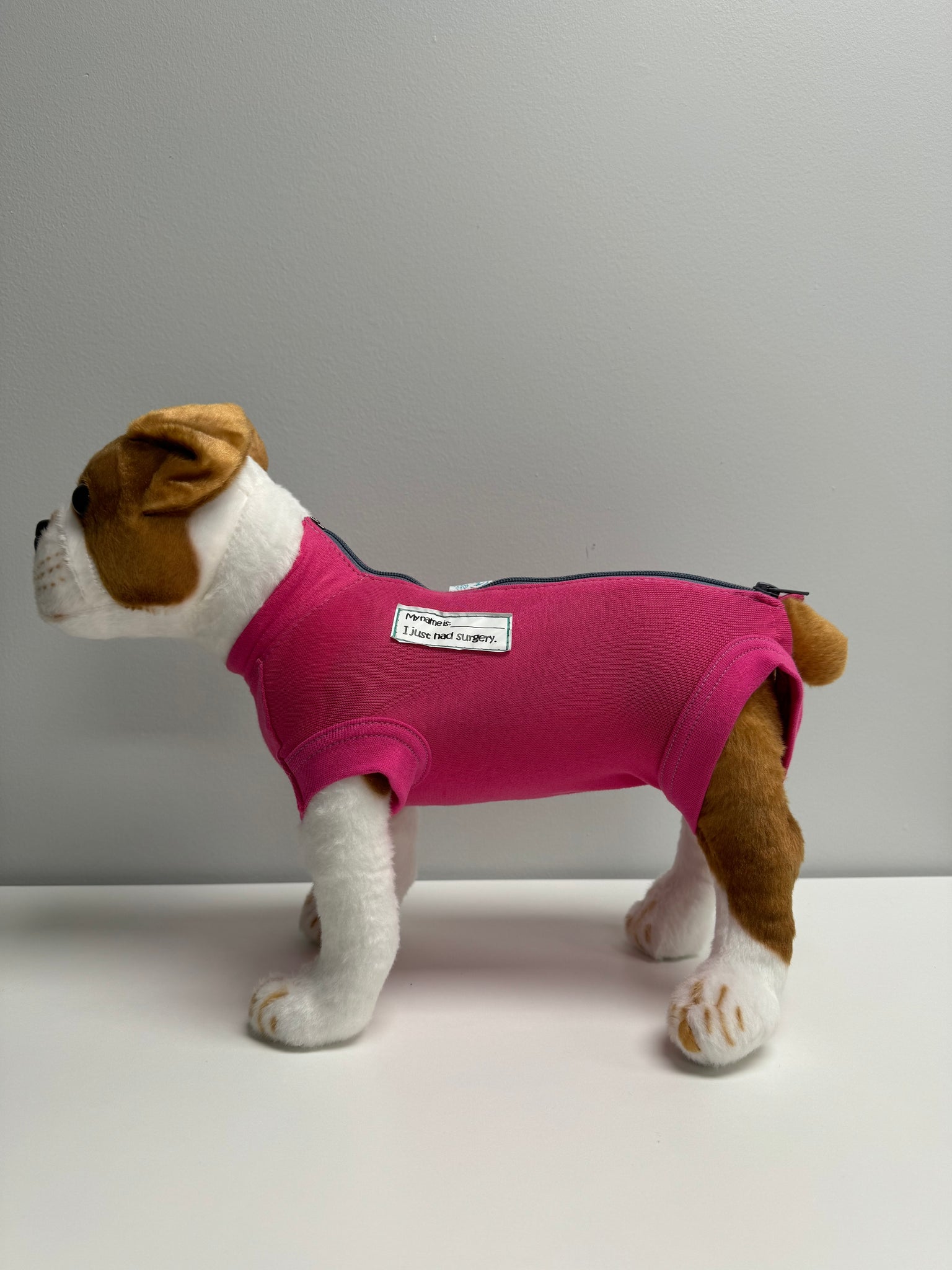 VetMedWear Recovery Suit (Female) Dog Sample