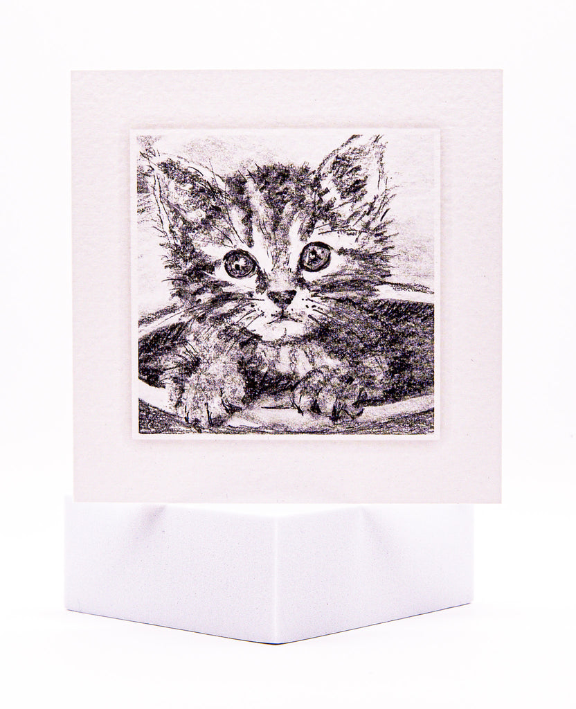 Get Well, New Client, and New Patient Cards