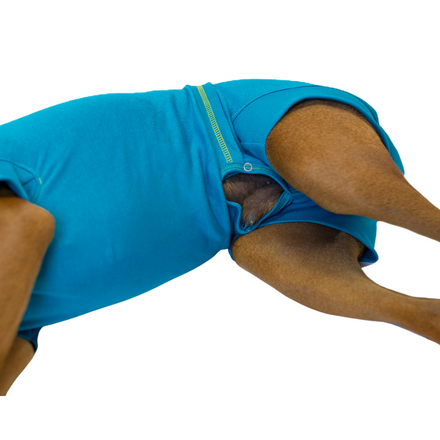 dog urination hole suit blue