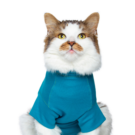 Recovery Suit for Cats