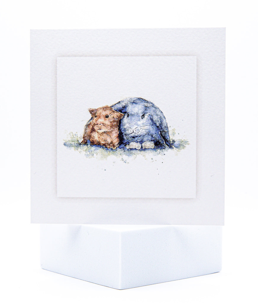 Exotics and Equine Designs