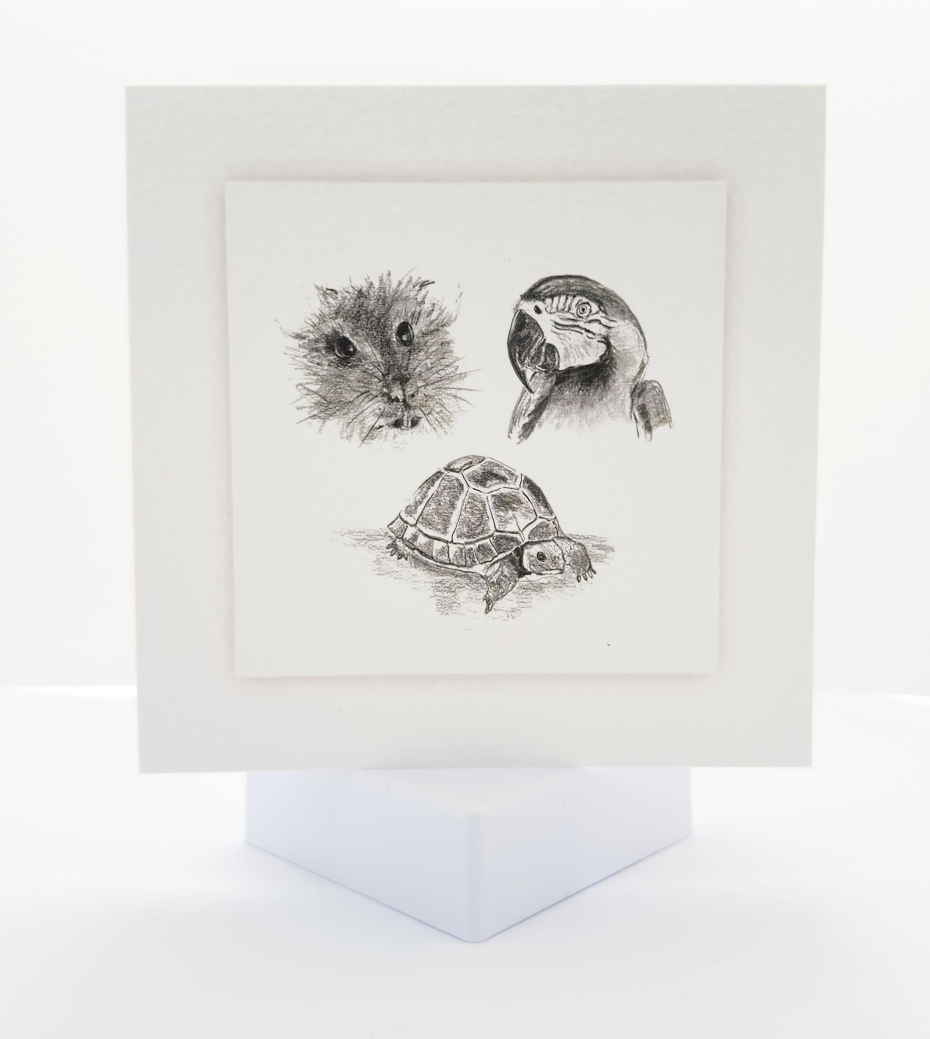 Animal Hospital Sympathy Card - Exotic Pets
