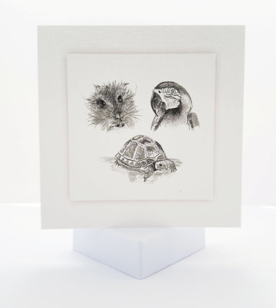 Animal Hospital Sympathy Card - Exotic Pets