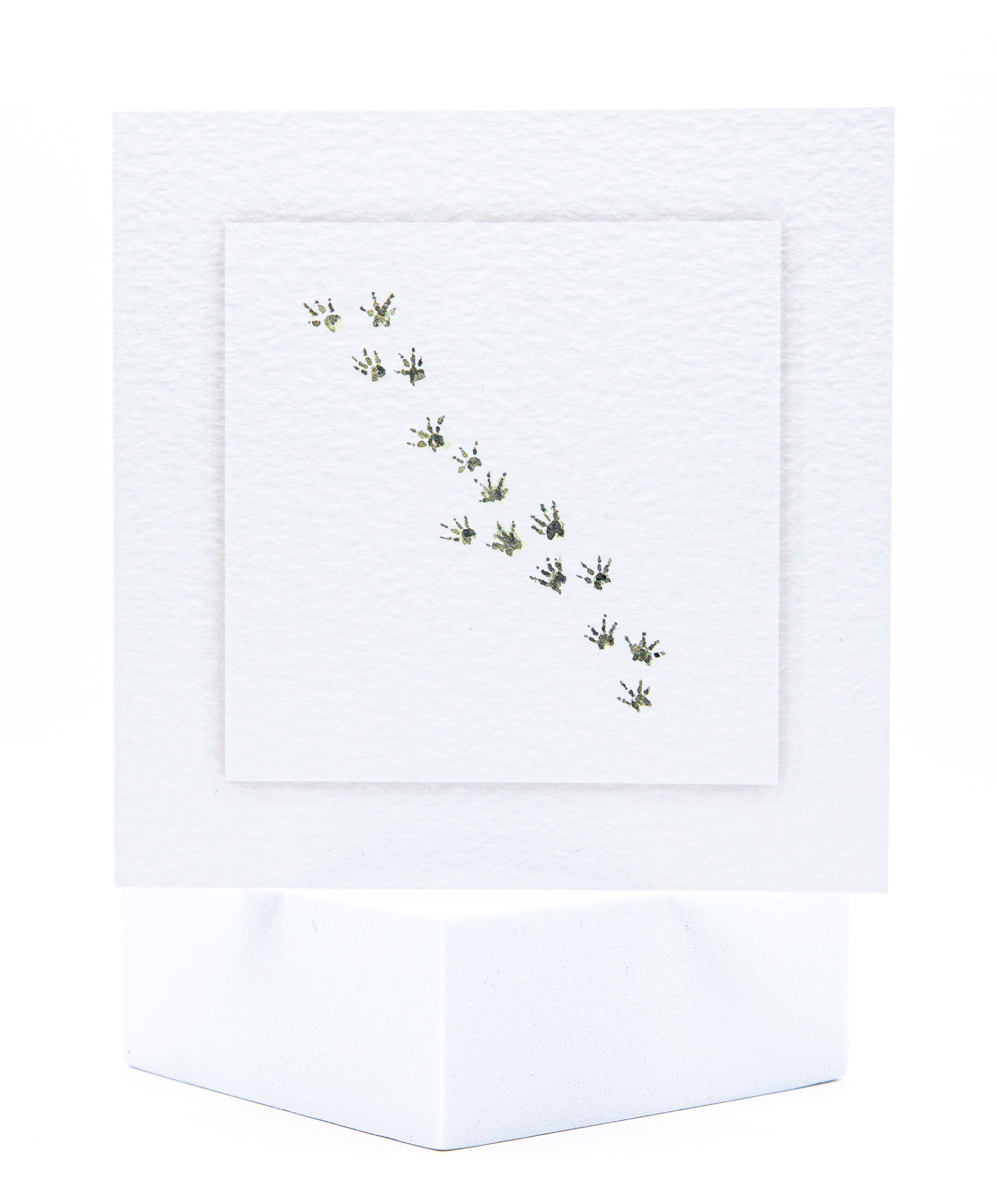 Animal Hospital Sympathy Card - Rodent Paws