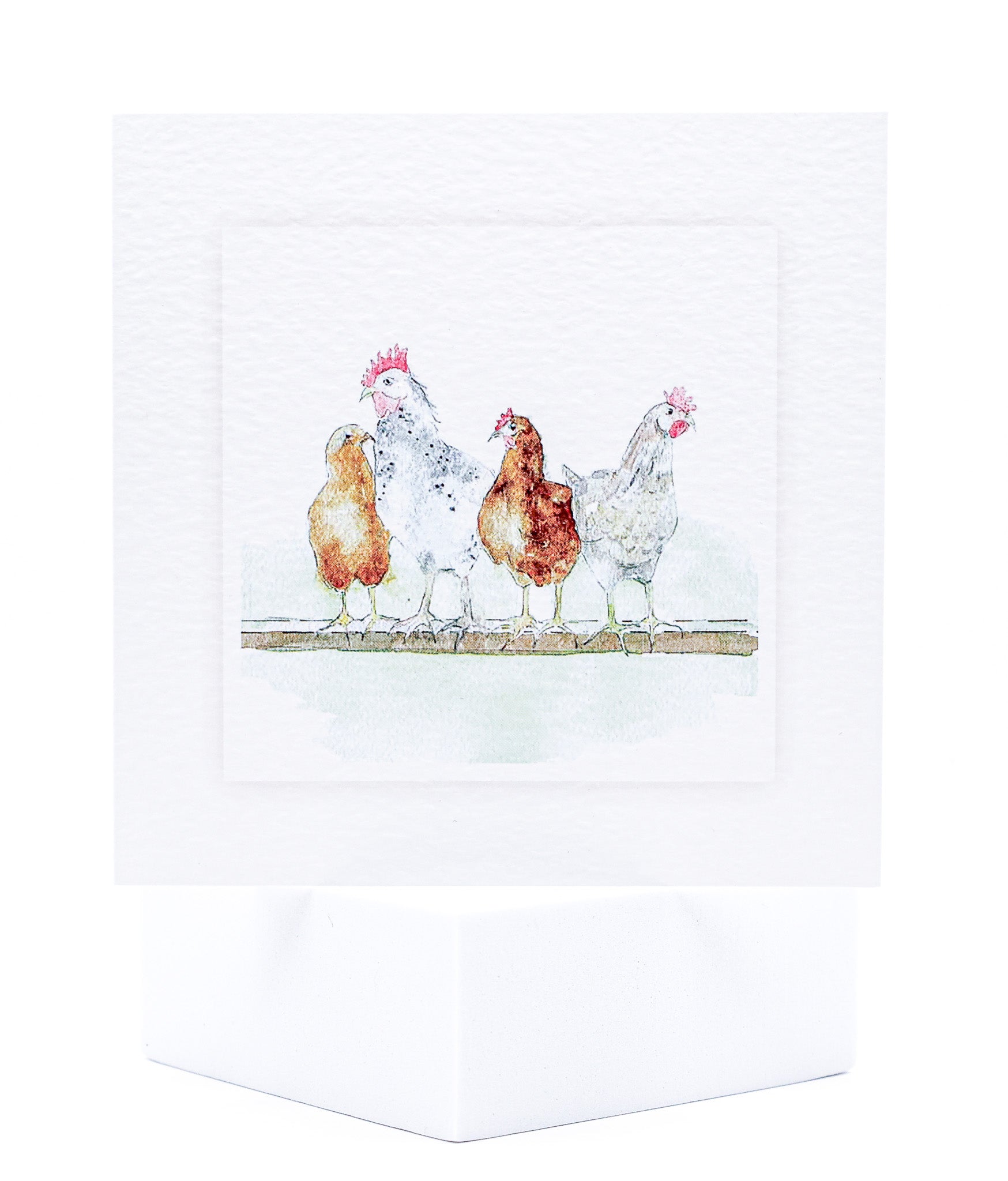 Animal Hospital Sympathy Card - Chickens Pack of 25